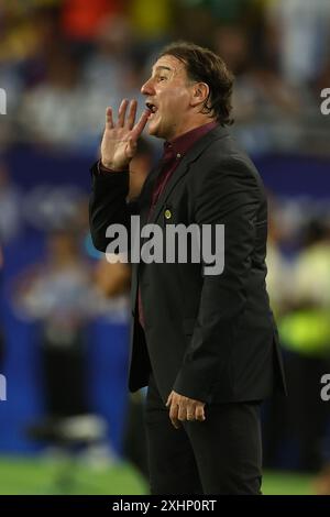 Miami, Florida, Stati Uniti. 15 luglio 2024. Nestor Lorenzo argentino della Colombia dà istruzioni durante la finale della Copa América USA 2024 tra Argentina e Colombia, all'Hard Rock Stadium, il 14 luglio 2024. Crediti: Alejandro Pagni/Alamy Live News Foto Stock