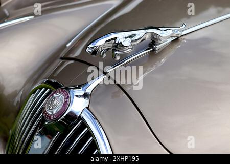 Mascotte cromata sul cofano di gatto su una berlina Jaguar MkII da 3,8 litri, ridisegnata nel 1955 da un design originale dell'artista e scultore F. Gordon Crosby. Foto Stock