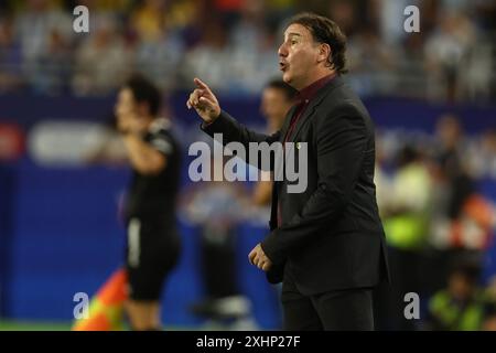 Nestor argentino della Colombia Lorenzo R dà istruzioni durante la finale di Copa AmÃ rica USA 2024 tra Argentina e Colombia, all'Hard Rock Stadium, il 14 luglio 2024 MIAMI STATI UNITI Copyright: XALEJANDROxPAGNIx Foto Stock