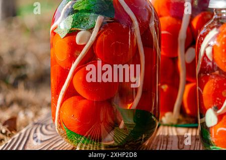 Pomodori biologici in scatola con erbe aromatiche in un recipiente. Pomodori Foto Stock