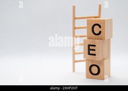 Chief Executive Officer - testo del CEO su cubi di legno con sfondo in legno. Concetto di leadership senior. Foto Stock