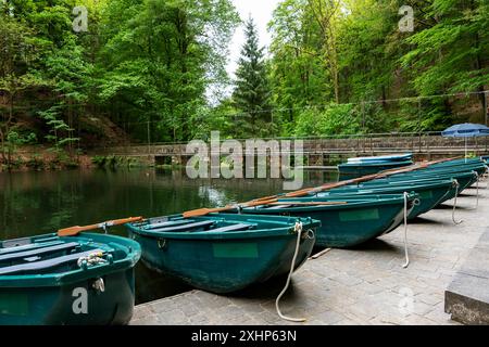 Una fila di canoe verdi sono allineate su un molo. La scena è tranquilla e serena, con l'acqua e gli alberi sullo sfondo Foto Stock