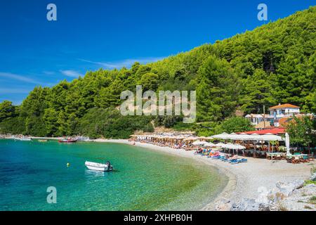 Grecia, arcipelago delle Sporadi, isola di Skopelos, spiaggia di Panormos Foto Stock