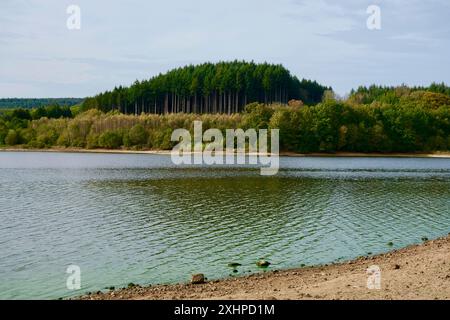Francia, Cote d'Or, Parco Naturale Regionale Morvan, Saint Martin de la Mer, lago Chamboux in autunno Foto Stock