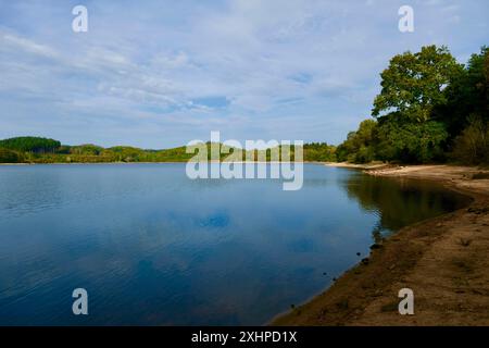 Francia, Cote d'Or, Parco Naturale Regionale Morvan, Saint Martin de la Mer, lago Chamboux in autunno Foto Stock