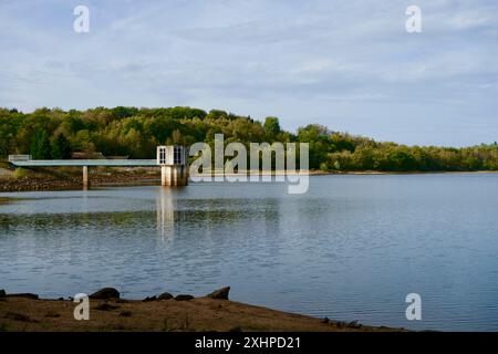 Francia, Cote d'Or, Parco Naturale Regionale Morvan, Saint Martin de la Mer, lago Chamboux in autunno Foto Stock