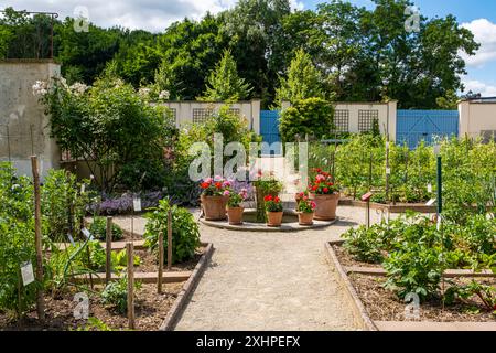 Francia, Essonne, Yerres, PROPRIETE Caillebotte, orto Caillebotte, Foto Stock