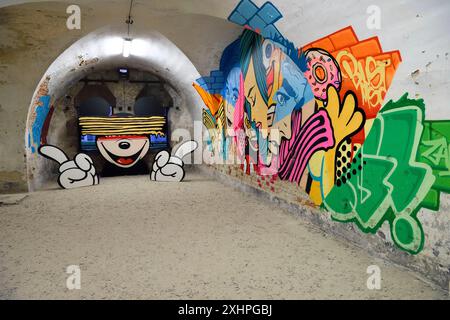 Francia, Alto Reno, Neuf Brisach, Museo di Arte Urbana e di Arte di strada (MAUSA) ospitato in un ex casemato della cittadella di Vauban, dichiarata Patrimonio dell'Umanità Foto Stock