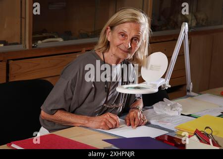 Francia, Pirenei Orientali, Tautavel, 27 luglio 2015. Maria Antonietta de Lumley, paléoantropologo francese, due giovani archeologi volontari francesi Foto Stock