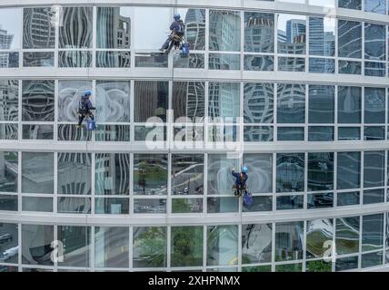 Lavavetri alpinisti professionali appesi in un imbracatura mentre si puliscono le finestre di un edificio immobiliare commerciale con grattacielo Foto Stock