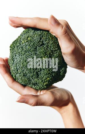 Persona che tiene un pezzo di broccoli grande su sfondo bianco. i broccoli sono in primo piano con la persona sullo sfondo. Foto Stock