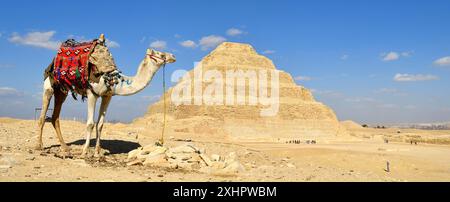 Egitto, basso Egitto, Saqqara, complesso funerario di Saqqara, patrimonio dell'umanità dell'UNESCO, la piramide a gradoni del re Djoser Foto Stock