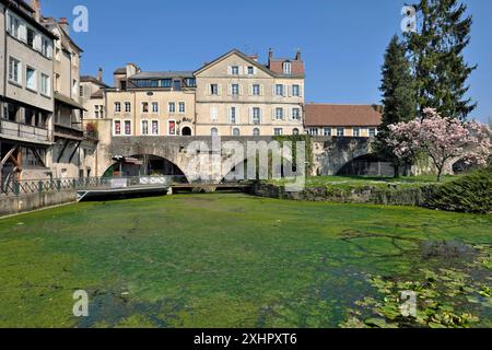 Francia, Giura, Dole, Canal des Tanneurs, il grande mulino per conciatori, ora un ristorante Foto Stock