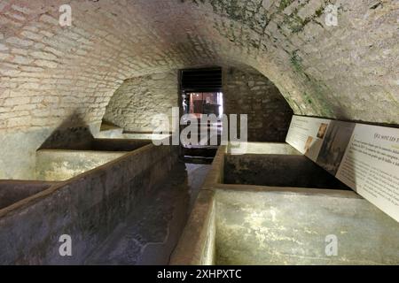 Francia, Giura, Dole, casa natale di Louis Pasteur, museo, la conceria del padre Foto Stock