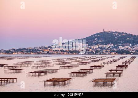 Francia, Herault, Bouzigues, villaggio sulle rive del Etang de Thau e famoso per le sue ostriche e conchiglie, ostriche, Mont Saint-Clair e Sete i Foto Stock