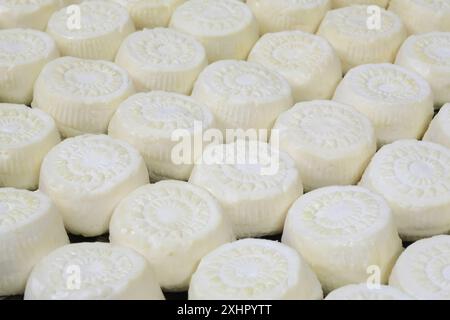 Malta, Haz-Zebbug, azienda agricola tal Karmnu, produzione di gbejna (formaggio di pecora locale) Foto Stock