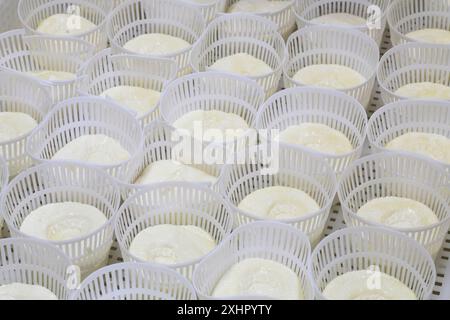 Malta, Haz-Zebbug, azienda agricola tal Karmnu, produzione di formaggio di pecora locale: Gbejna, qui formaggio fresco in filetti Foto Stock