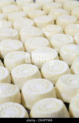 Malta, Haz-Zebbug, azienda agricola tal Karmnu, produzione di gbejna (formaggio di pecora locale) Foto Stock