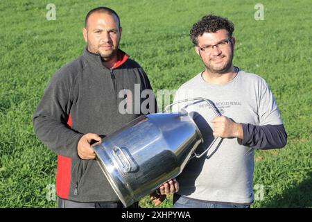 Malta, Haz-Zebbug, la fattoria tal Karmnu, gli agricoltori Emmanuel e Paul Agius che producono il formaggio ovino locale: Gbejna Foto Stock