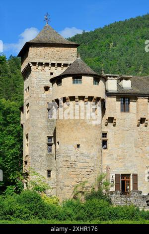 Francia, Lozere, Gorges du Tarn, Chateau de la Caze Foto Stock