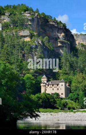 Francia, Lozere, Gorges du Tarn, Chateau de la Caze Foto Stock