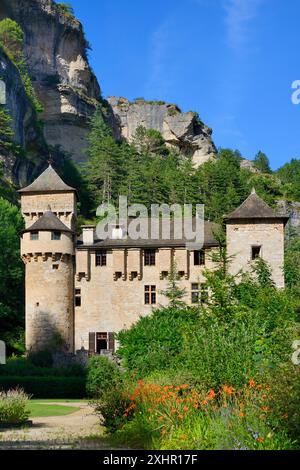 Francia, Lozere, Gorges du Tarn, Chateau de la Caze Foto Stock