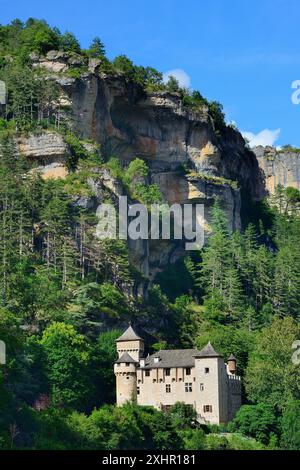 Francia, Lozere, Gorges du Tarn, Chateau de la Caze Foto Stock