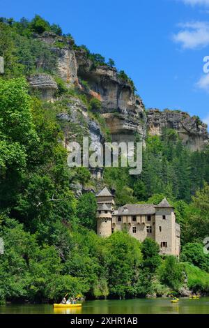 Francia, Lozere, Gorges du Tarn, Chateau de la Caze Foto Stock