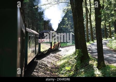 Fichtelbergbahn 09.07.2024, Cranzahl, Dampflok / Dampfzug Fichtelbergbahn auf dem Weg nach Oberwiesenthal *** Fichtelbergbahn 09 07 2024, Cranzahl, locomotiva a vapore treno a vapore Fichtelbergbahn sulla strada per Oberwiesenthal Foto Stock