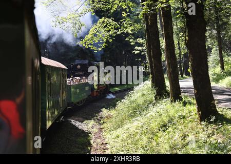 Fichtelbergbahn 09.07.2024, Cranzahl, Dampflok / Dampfzug Fichtelbergbahn auf dem Weg nach Oberwiesenthal *** Fichtelbergbahn 09 07 2024, Cranzahl, locomotiva a vapore treno a vapore Fichtelbergbahn sulla strada per Oberwiesenthal Foto Stock