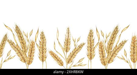 Gambi di grano bordo senza cuciture, nastro per orzo. Illustrazione acquerello per la celebrazione del raccolto, design rustici, birra, pane, temi agricoli. Clipart per tessuti, imballaggi, sfondi, striscioni Foto Stock