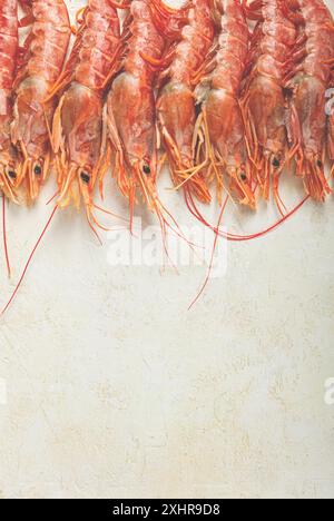 Langoustines, australiano, langoustine appena congelate, su sfondo chiaro, vista dall'alto Foto Stock