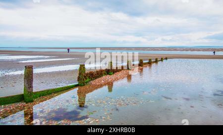 La spiaggia di West Wittering offre una vista lungo la mossy groyne sgranata Foto Stock