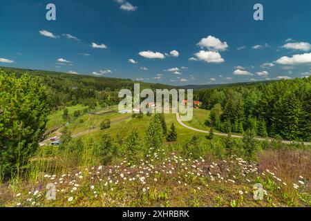 Prato estivo in fiore sulla diga del bacino idrico dei monti Krusne a Prisecnice CZ 06 26 2024 Foto Stock