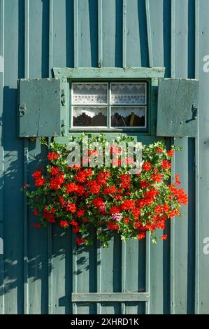 Finestra con persiane e fioriera con gerani (spec. Pelargonium) In un'antica capanna in legno dipinta con colori, storico cantiere navale di Simmerding Foto Stock