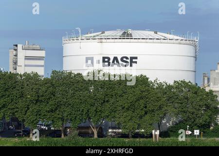 BASF, Lugwigshafen am Rhein, zona industriale, Mannheim, Baden-Wuerttemberg, Germania Foto Stock