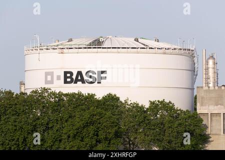 BASF, Lugwigshafen am Rhein, zona industriale, Mannheim, Baden-Wuerttemberg, Germania Foto Stock