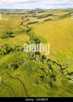 Vista droni della valle di Allan Water vicino alla fattoria Skelfhill, Hawick Scottish Borders. REGNO UNITO Foto Stock