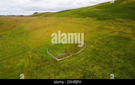 Veduta aerea di una casa di pecore costruita in pietra vicino a Dodburn, Hawick, Scottish Borders, Regno Unito. Le stufe di pecora forniscono riparo durante l'inverno. Foto Stock