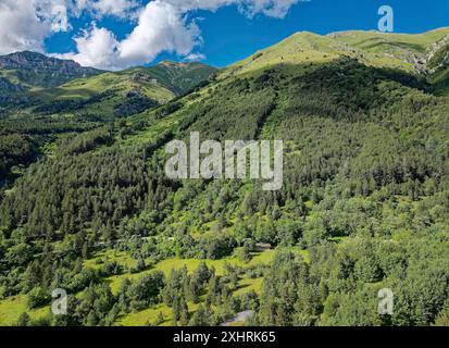 Versante boscoso e sopra di esso il profilo alberato nel paesaggio montano del Parco Nazionale del Gran Sasso e dei Monti della Laga in Abruzzo. Appennini, Italia Foto Stock