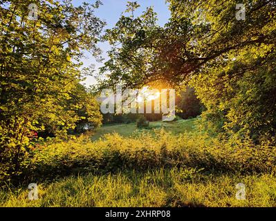 Tramonto suggestivo nella nostra valle, Gemuend an der Our, Oesling, Islek, Parco naturale dell'Eifel meridionale, Renania-Palatinato, Germania Foto Stock