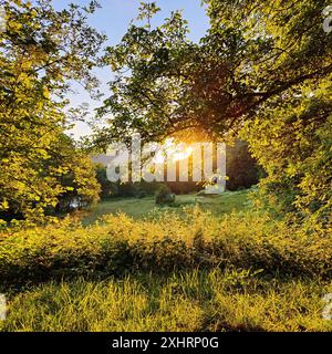 Tramonto suggestivo nella nostra valle, Gemuend an der Our, Oesling, Islek, Parco naturale dell'Eifel meridionale, Renania-Palatinato, Germania Foto Stock