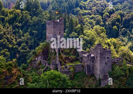 Le rovine del castello di Manderscheid, dell'Eifel meridionale, dell'Eifel, della Renania-Palatinato, Germania Foto Stock