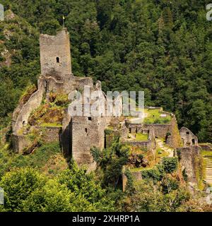 Le rovine del castello di Manderscheid, dell'Eifel meridionale, dell'Eifel, della Renania-Palatinato, Germania Foto Stock