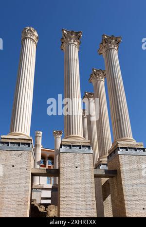 Vista dal basso di alcune alte colonne in pietra dal Teatro Romano di Cordova, Andalusia, Spagna, con un cielo azzurro limpido sullo sfondo. Foto Stock