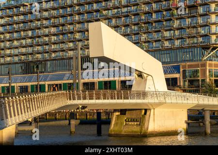 DAS ehemalige Fenix Lagerhaus von 1923, im Krieg zerstört, 2019 renoviert, umgebaut zu einem Wohn- und Geschäftshaus, mit Hotel, Wohnungen, gastronomia, Büros, AM Rijnhaven, Rijnhavenbrug, Brücke, Rotterdam, Niederlande, skyline Rotterdam *** l'ex magazzino Fenix del 1923, distrutto durante la guerra, rinnovato nel 2019, convertito in un edificio residenziale e commerciale, con hotel, appartamenti, ristoranti, uffici, sul Rijnhaven, Rijnhavenbrug, ponte, Rotterdam, Paesi Bassi, skyline di Rotterdam Foto Stock