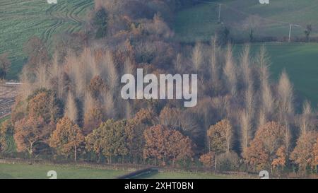 La campagna e i boschi dello Shropshire meridionale sono stati visti da Caer Caradoc vicino a Church Stretton, Shropshire, Regno Unito Foto Stock