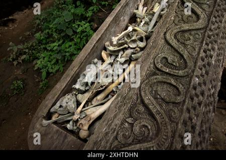 Sculture decorative indigene su sarcofagi di legno nel tradizionale sito di sepoltura nel villaggio di Kete Kesu, Toraja settentrionale, Sulawesi meridionale, Indonesia. Foto Stock