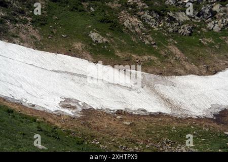 REGIONE DI ZAKARPATTIA, UCRAINA - 14 LUGLIO 2024 - la neve non si è ancora sciolta nonostante la temperatura di 35°C vicino al lago di montagna più alto dell'Ucraina, Brebeneskul, nella riserva della biosfera dei Carpazi, distretto di Rakhiv, regione di Zakarpattia, Ucraina occidentale Foto Stock