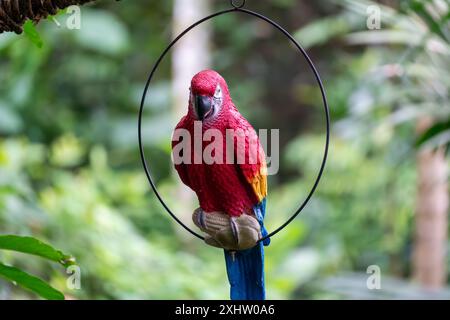 Un'impressionante macchia scarlatta appollaiata su un palco circolare, circondata da una fitta vegetazione tropicale verde Foto Stock